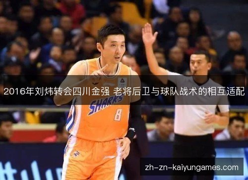 2016年刘炜转会四川金强 老将后卫与球队战术的相互适配